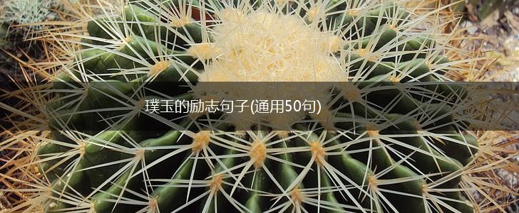 璞玉的励志句子(通用50句),第1张