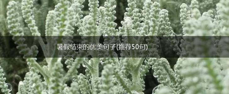 暑假结束的优美句子(推荐50句),第1张
