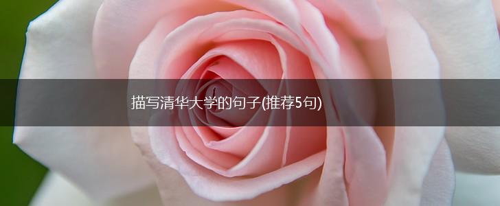 描写清华大学的句子(推荐5句),第1张