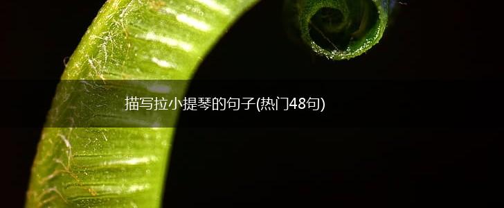 描写拉小提琴的句子(热门48句),第1张