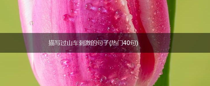 描写过山车刺激的句子(热门40句),第1张