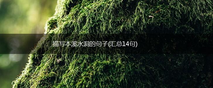 描写本溪水洞的句子(汇总14句),第1张