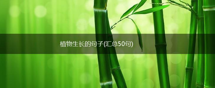 植物生长的句子(汇总50句),第1张 植物生长的句子(汇总50句),第1张
