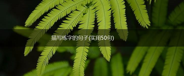 描写练字的句子(实用50句),第1张