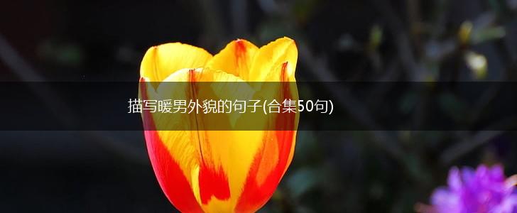 描写暖男外貌的句子(合集50句),第1张