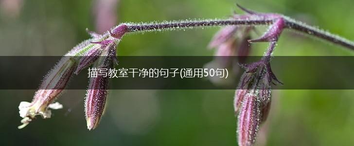 描写教室干净的句子(通用50句),第1张