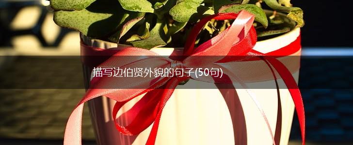描写边伯贤外貌的句子(50句),第1张
