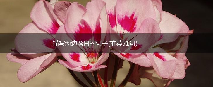 描写海边落日的句子(推荐51句),第1张