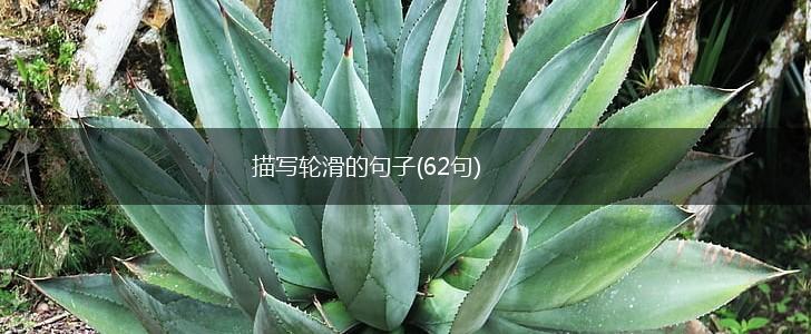 描写轮滑的句子(62句),第1张