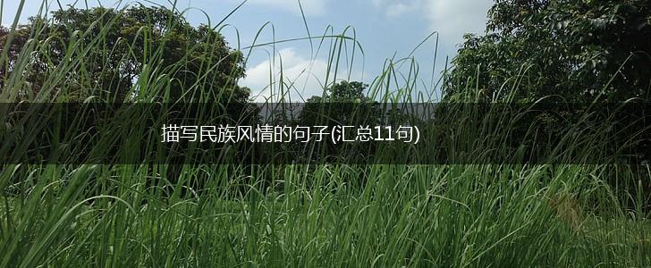 描写民族风情的句子(汇总11句),第1张 描写民族风情的句子(汇总11句),第1张