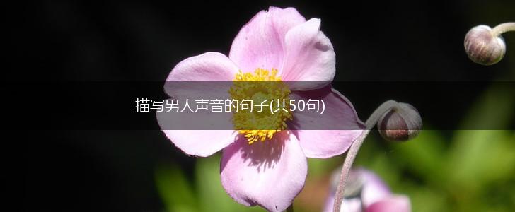 描写男人声音的句子(共50句),第1张