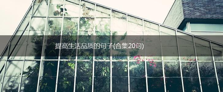 提高生活品质的句子(合集20句),第1张