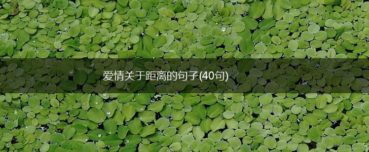 爱情关于距离的句子(40句),第1张
