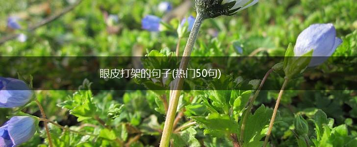 眼皮打架的句子(热门50句),第1张