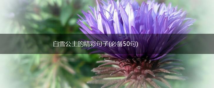 白雪公主的精彩句子(必备50句),第1张