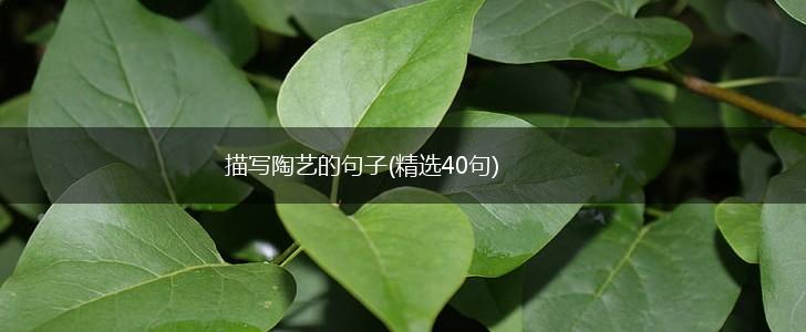 描写陶艺的句子(精选40句),第1张