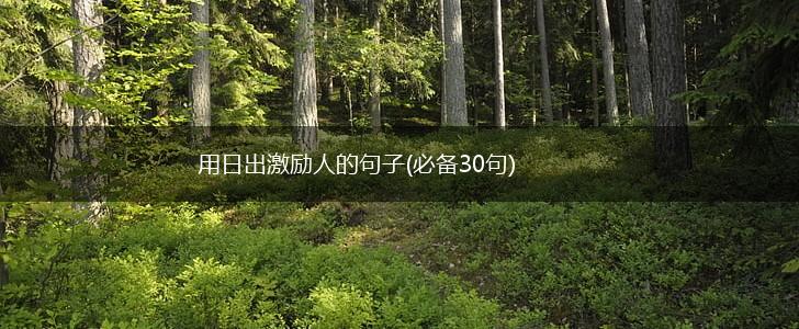 用日出激励人的句子(必备30句),第1张