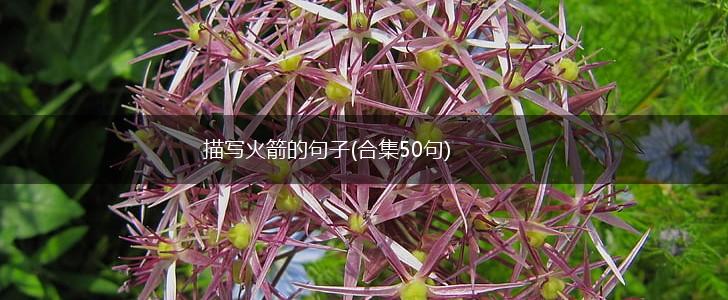 描写火箭的句子(合集50句),第1张