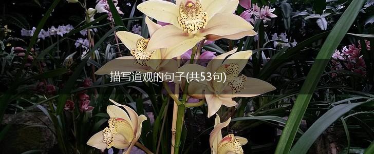 描写道观的句子(共53句),第1张