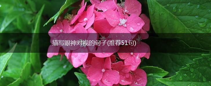 描写眼神对视的句子(推荐51句),第1张