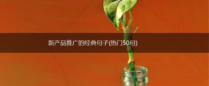 新产品推广的经典句子(热门50句),第1张
