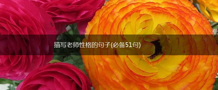 描写老师性格的句子(必备51句),第1张