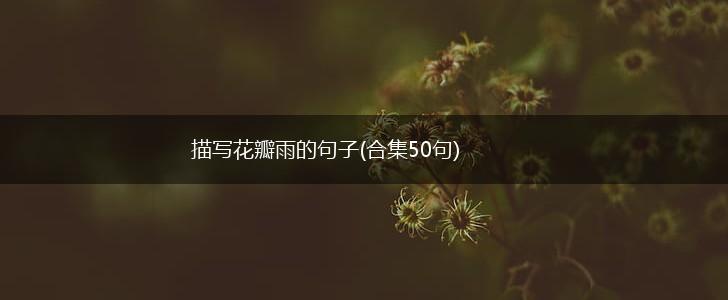 描写花瓣雨的句子(合集50句),第1张