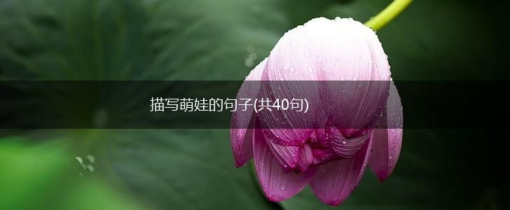 描写萌娃的句子(共40句),第1张