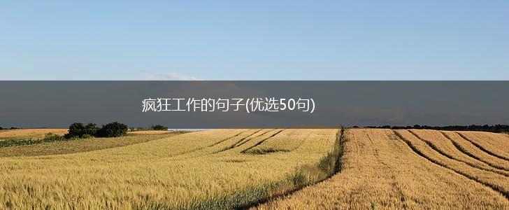 疯狂工作的句子(优选50句),第1张