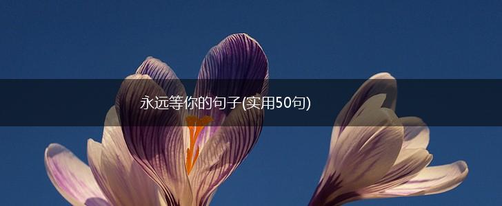 永远等你的句子(实用50句),第1张
