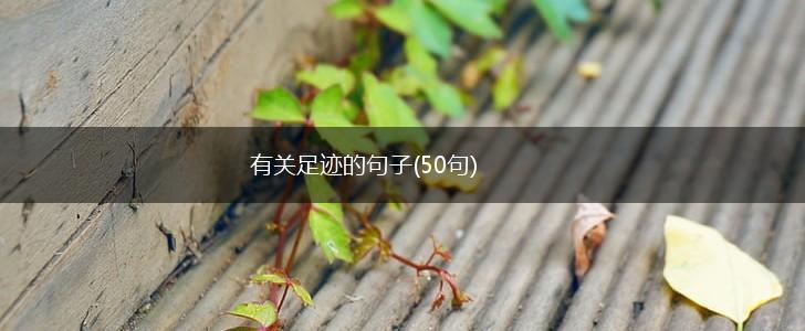 有关足迹的句子(50句),第1张