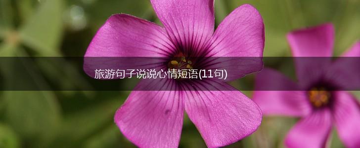旅游句子说说心情短语(11句)