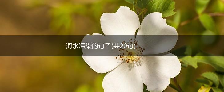 河水污染的句子(共20句),第1张