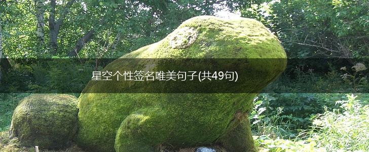 星空个性签名唯美句子(共49句),第1张