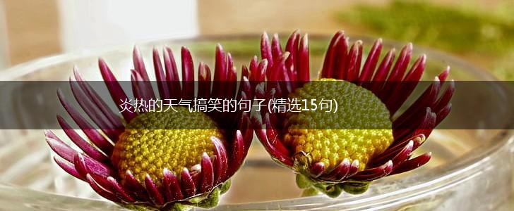 炎热的天气搞笑的句子(精选15句),第1张