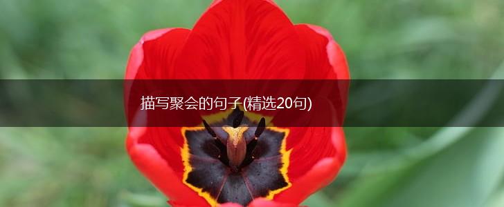 描写聚会的句子(精选20句),第1张 描写聚会的句子(精选20句),第1张