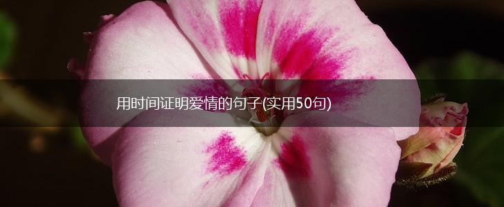 用时间证明爱情的句子(实用50句),第1张