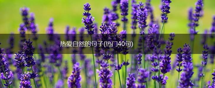 热爱自然的句子(热门40句),第1张