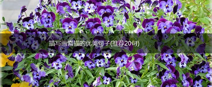 描写画素描的优美句子(推荐20句),第1张
