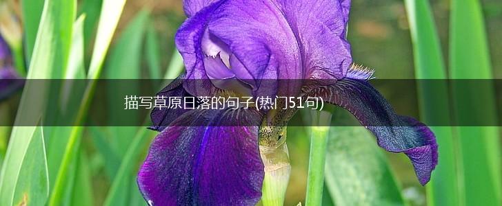 描写草原日落的句子(热门51句),第1张