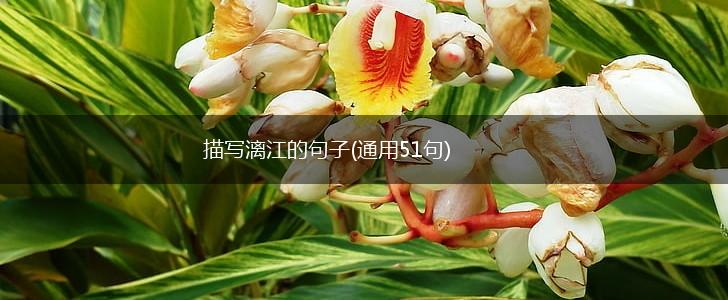 描写漓江的句子(通用51句),第1张