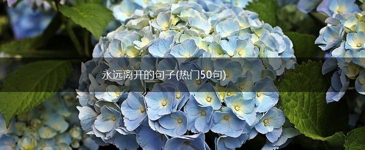 永远离开的句子(热门50句),第1张