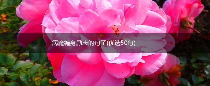 病魔缠身励志的句子(优选50句),第1张