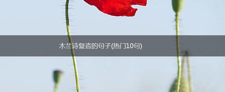 木兰诗复沓的句子(热门10句),第1张