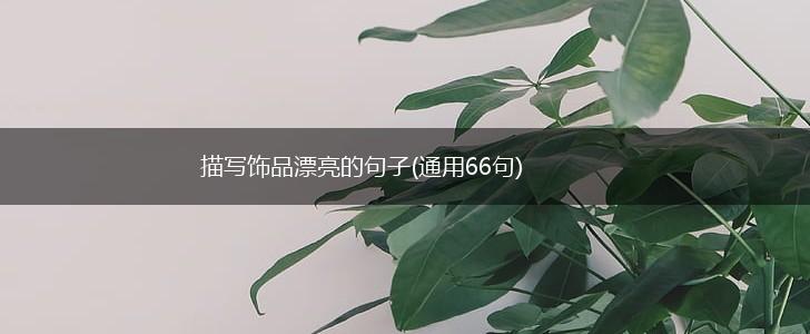 描写饰品漂亮的句子(通用66句),第1张