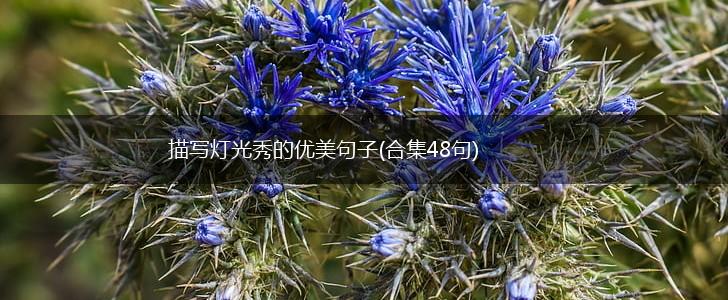描写灯光秀的优美句子(合集48句),第1张