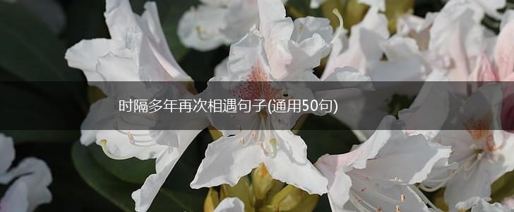 时隔多年再次相遇句子(通用50句),第1张