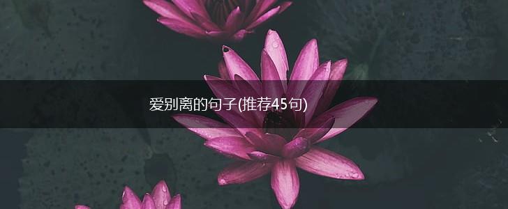 爱别离的句子(推荐45句),第1张