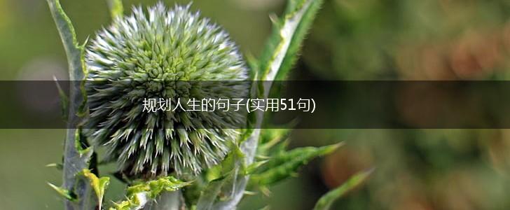 规划人生的句子(实用51句),第1张