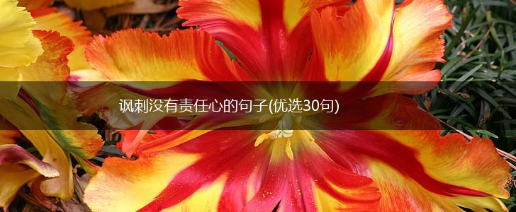 讽刺没有责任心的句子(优选30句),第1张